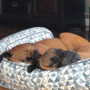 Meet your Posher, Debrea